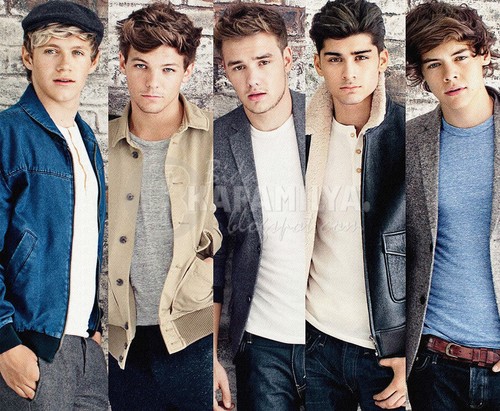 one direction - one-direction Photo