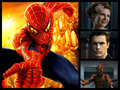 spiderman - spider-man fan art