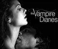 vampire diaries - the-vampire-diaries fan art