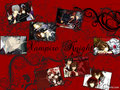 vampire knight - vampire-knight wallpaper