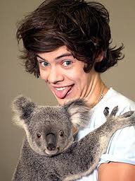  1D WITH animals<3