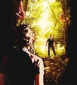 Catching  Fire - the-hunger-games photo