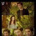 Edward&Bella - new-moon-movie photo