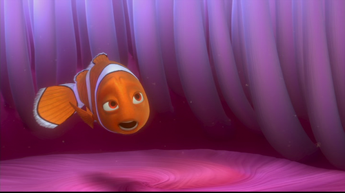  Finding Nemo