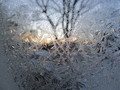 Frost - photography photo