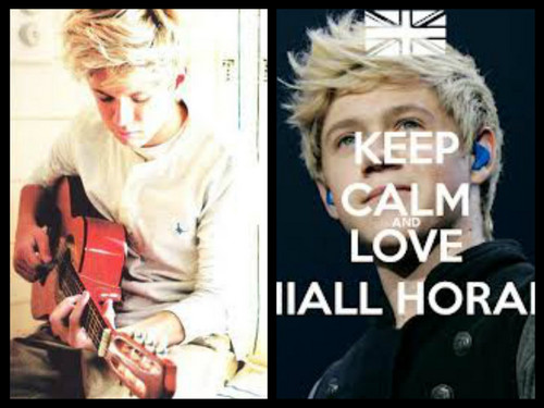  l’amour Niall Horan