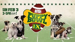  puppy Bowl