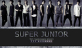 Super Junior - super-junior photo