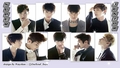 super-junior - Super Junior wallpaper