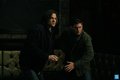 Supernatural - Episode 8.15 - Man's Best Friend With Benefits Promo Pics - supernatural photo