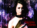 the-vampire-diaries - TVD pic by Pearl!~   wallpaper