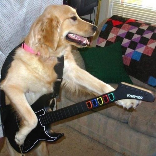  funny violão, guitarra