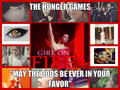 the hunger games - the-hunger-games fan art
