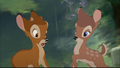 Bambi2 - disney photo
