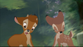 Bambi2 - disney photo