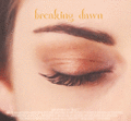 Breaking Dawn Part1 - twilight-series fan art
