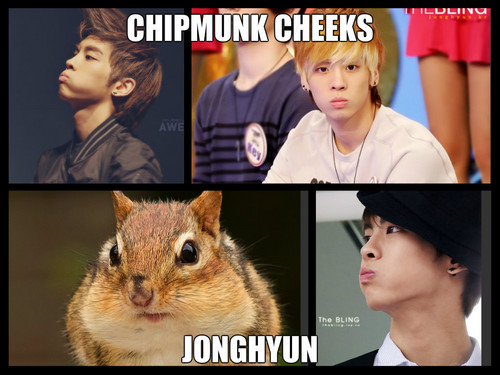  chipmunk cheeks JongHyun