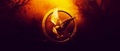 Logo  - the-hunger-games photo