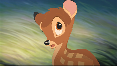  bambi