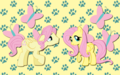 butterscotch and fluttershy - my-little-pony-friendship-is-magic photo