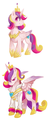 genderbend prince cadence - my-little-pony-friendship-is-magic photo