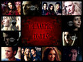 the vampire diaries - the-vampire-diaries fan art
