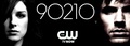 90210 - Season 5 Advertisement - liam-and-annie photo