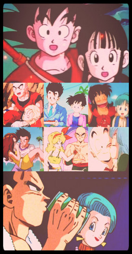 All Dragon Ball Official Love Stories
