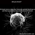 Did you know?  - random photo