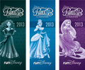 Disney Princess Half Marathon Expo Banners - disney-princess photo
