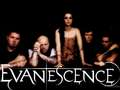 Evanescence - amy-lee photo