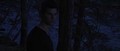 Jacob Black in Breaking Dawn part 1 - twilight-series photo
