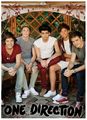One Direction Tour 2013 Book Pictures - one-direction photo