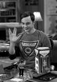 Sheldon  - the-big-bang-theory photo