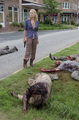 The Walking Dead - 3x09 - Suicide King  - the-walking-dead photo