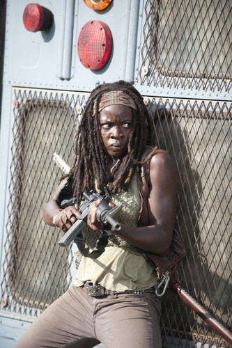  The Walking Dead - 3x10 - inicial