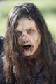 The Walking Dead -  3x12 - Clear - the-walking-dead photo