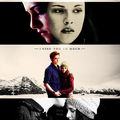 Twilight // Movie - twilight-movie fan art