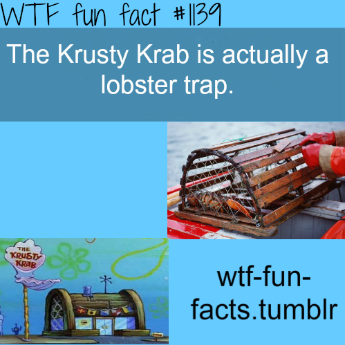  WTF fun fact