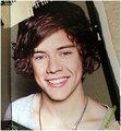 harry, Tour Book, 2013 - one-direction photo