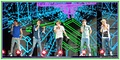 one direction tour , 2013, - one-direction photo