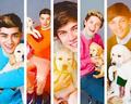 our boys - one-direction photo