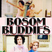 Bosom Buddies - memorable-tv icon