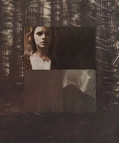  Draco//Hermione