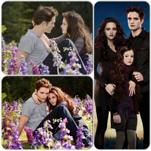  Edward, Bella and Renesmee mash-up pics