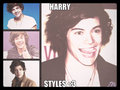 Harry Styles <3 - harry-styles fan art