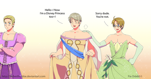  Hetalia x Disney Princesses cross-over pattern breaker