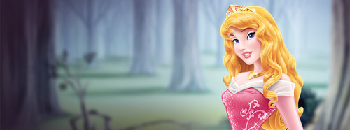  Jessowey's Fave 디즈니 Princess Banner