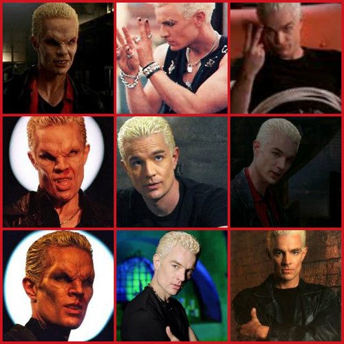  My Spike Collage