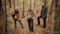 Rick Grimes,Michonne,The Governor - the-walking-dead photo